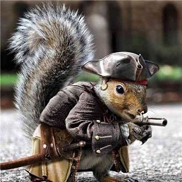 ����, �������, 44 ����