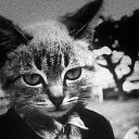  , -, 40  -  30  2016