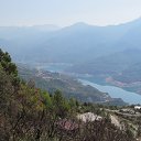 ���� ������, �������-���������, 49 ��� - ��������� 5 ������ 2017 � ������ ���� ����������