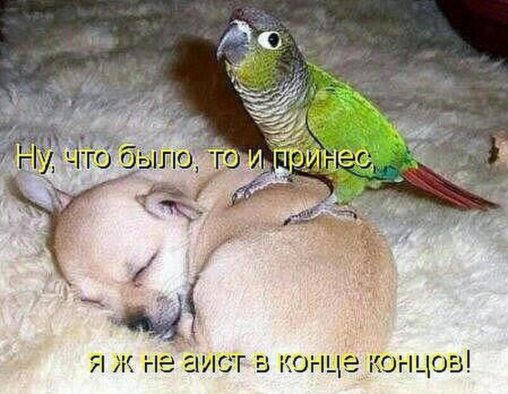 ***Victoria Viktorovna*** - 26  2016  15:16