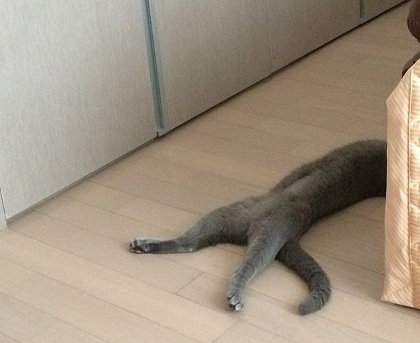 : 