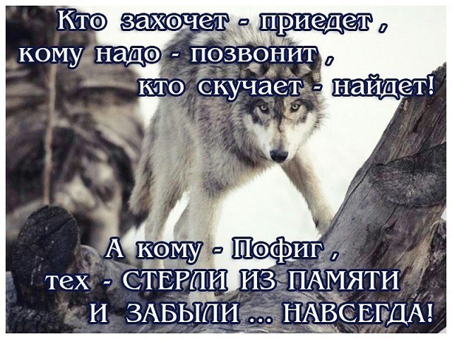 �������� - 9 ������ 2017 � 23:43