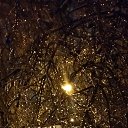 13 ������ 2016 �� ������� ���� ����������