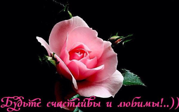 Умейте друг друга беречь... Иначе потом будет поздно... Цените мгновения встреч... И солнце, и небо, ...