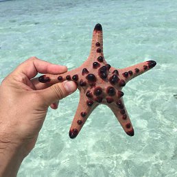 ������, ������, 60 ���