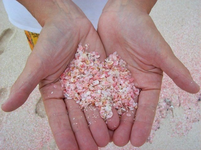      : Pink Sands Beach,  ,  .  ,  ... - 2