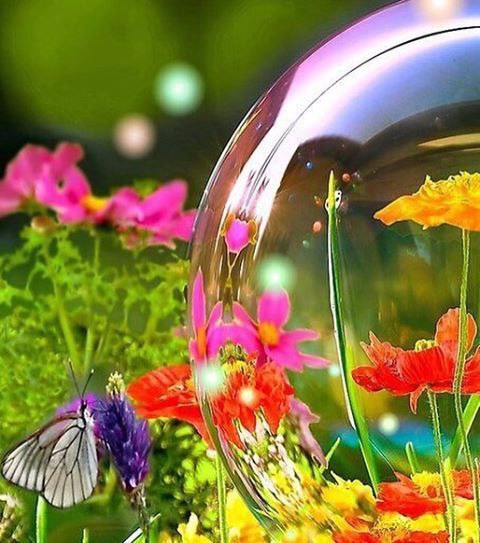 ))).  ! -   . -  .., ...  ?..  ...