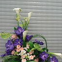 ���� Tina, ������ - ��������� 2 ������� 2017 � ������ ���� ����������