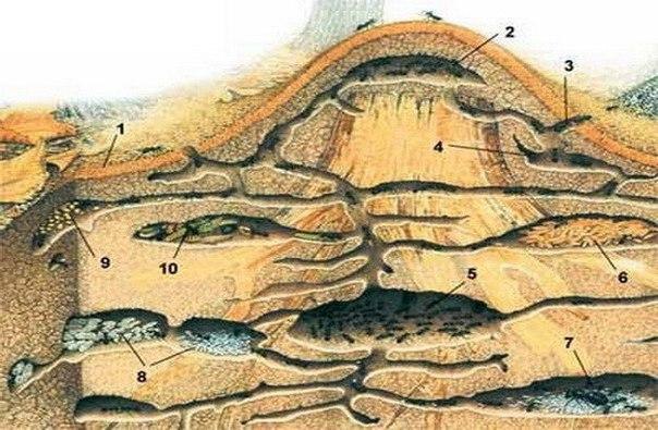 ��� ������� ����������.�� ���� ���� ���� �������� ������ ������ ������: �������� ��� ������ ������ ...