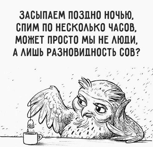  - 8  2016  21:48