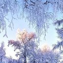 ���� ������, ������ - ��������� 8 ������� 2016 � ������ ������ ��������