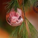 ���� ���������, ���� - ��������� 29 ������ 2016 � ������ ������ ��������