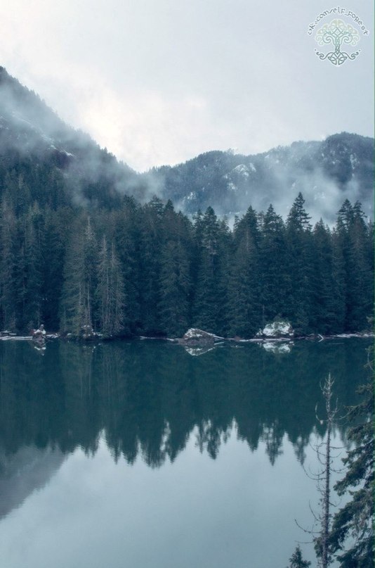 ����������� ��� - 3