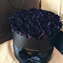 ���� Ks, ������ - ��������� 23 ������� 2017 � ������ ���� ����������