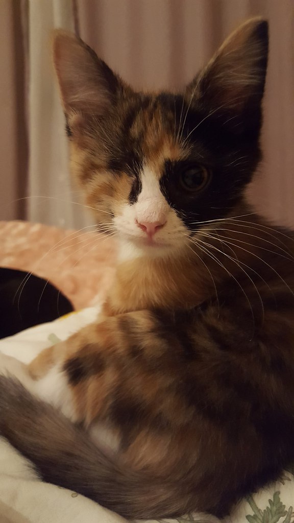 #_.   3  .    2    . . ... - 3