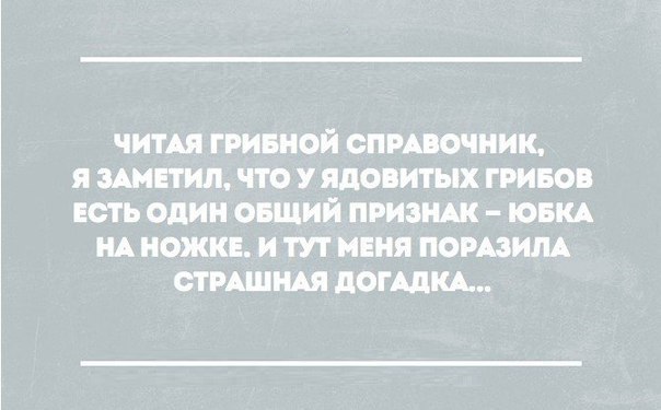 SportFeed - 27  2016  10:02