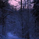 ���� ������, �������� - ��������� 15 ������ 2017 � ������ ���� ����������