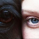 ���� ��������, ����, 52 ���� - ��������� 27 ������ 2016 � ������ ���� ����������