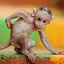 ���� ������, ������ - ��������� 5 ������� 2016 � ������ ������