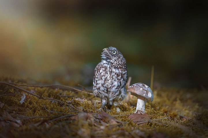  . Tanja Brandt - 5