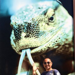 ���� �������, ������� - ��������� 23 �������� 2016