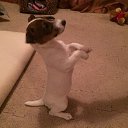 �����...... � ���������� ���!!!!!!!! �� ������� ���� ����������