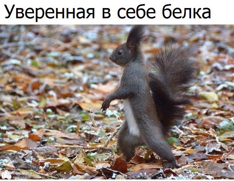  - 20  2016  03:33