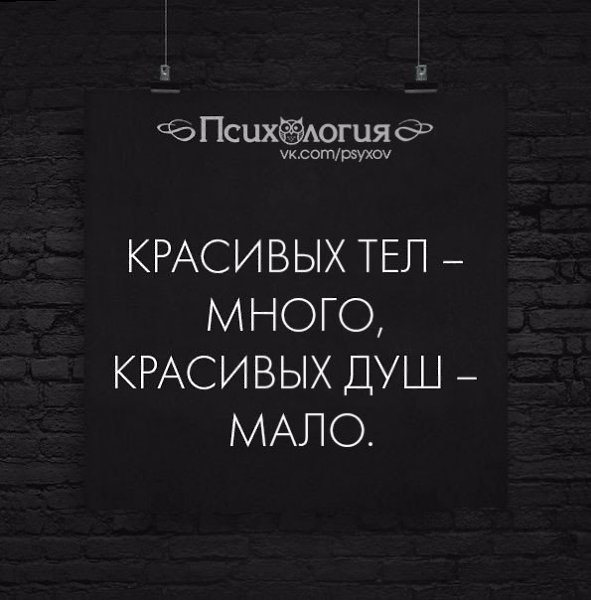 Лучше многих. Красивых тел много красивых душ мало. Цитаты о теле.