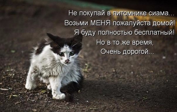 .https://fotostrana.ru/away?to=/sl/kxC2 - 20  2016  18:52