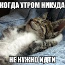 ���� ������, ����� - ��������� 1 ������ 2016 � ������ ������ ��������