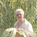 ���� �������, ���������, 73 ���� - ��������� 3 ������� 2016 � ������ ������...���������...�