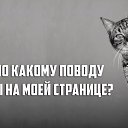 ���� �������)), ������� ������, 50 ��� - ��������� 19 ������ 2016 � ������ ���������