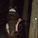  ,  -  13  2016   2015-2016 .