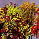 ���� ����, ��������� - ��������� 27 ������ 2017