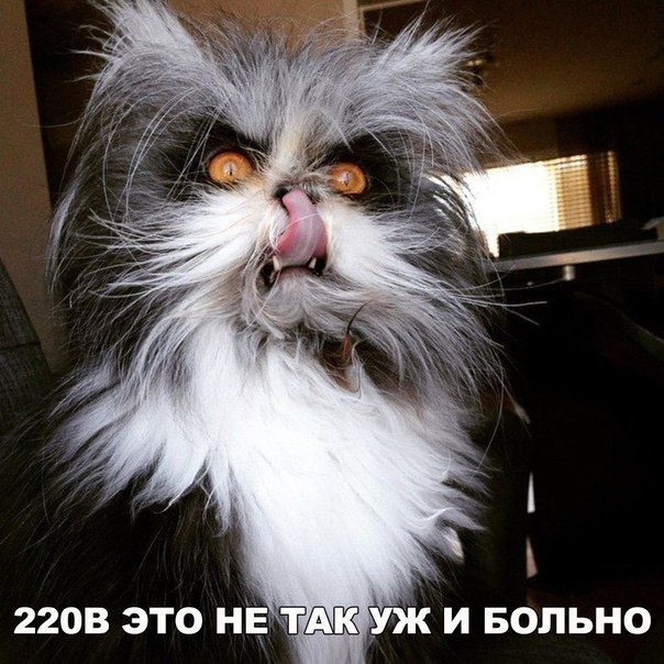     - 27  2017  18:22