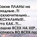 ���� ������, ������-���, 60 ��� - ��������� 4 ������� 2016 � ������ ���� ����������