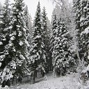 ���� �������, ����������, 49 ��� - ��������� 5 ������� 2016 � ������ ������