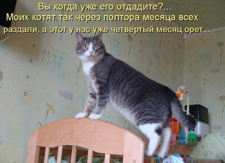  - ,  - 2  2017  05:26