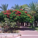 ���� ���, ���������, 71 ��� - ��������� 15 �������� 2016 � ������ ���� ����������