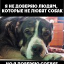 ���� �������, �����-��������� - ��������� 12 ����� 2017 � ������ ������ ��������