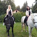 ���� ��������, �������, 61 ��� - ��������� 26 �������� 2016 � ������ ������� GRI Birds(����� �����)�