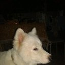 ���� *****������!!! *****, �������, 66 ��� - ��������� 9 ������� 2016 � ������ ���� ����������