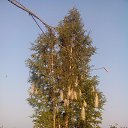 ���� ����, ���������, 67 ��� - ��������� 8 ������ 2016 � ������ ���� ����������