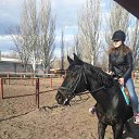 ���� �������, ������, 41 ��� - ��������� 26 ����� 2017