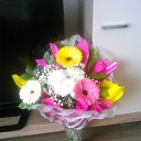 ���� ��������, ��������� - ��������� 15 ������� 2017