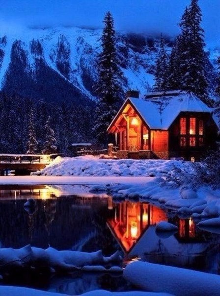  -   ,          ,  ... - 3