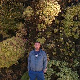 ���� ������, ����� - ��������� 11 ����� 2017