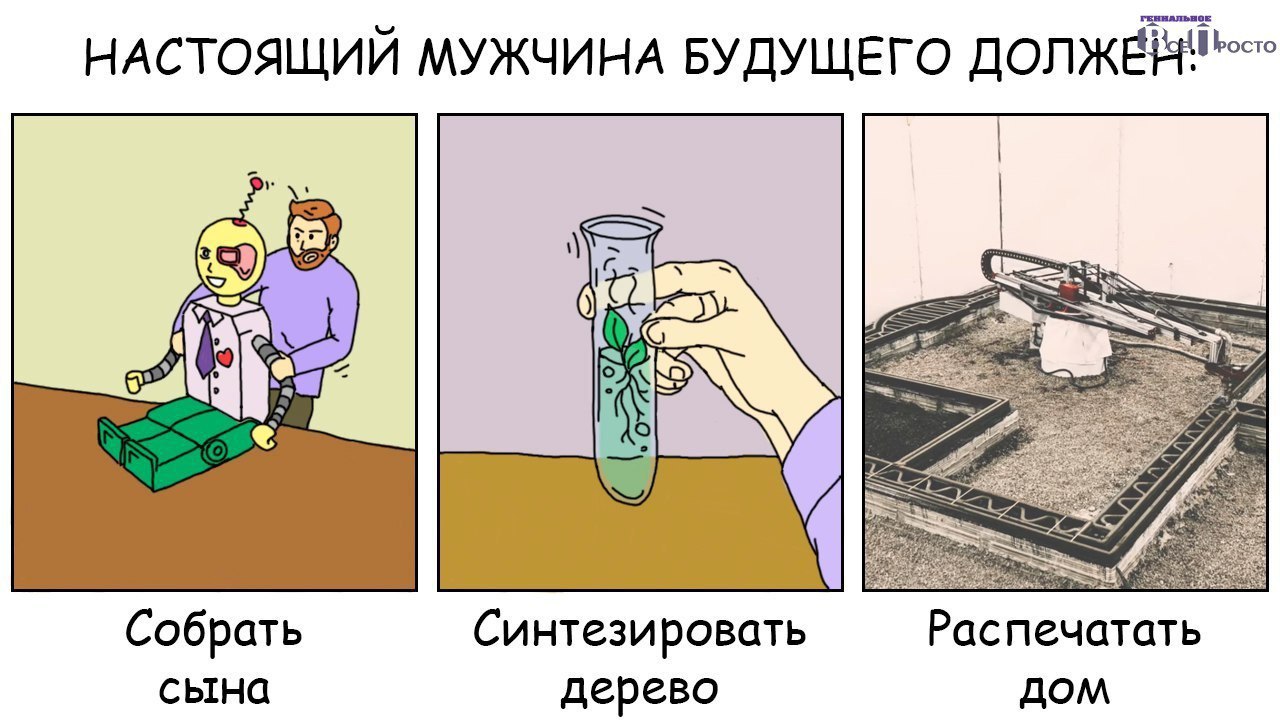        3D .