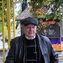  , , 83  -  22  2017    2016.