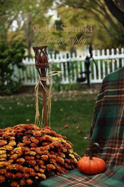    .     .   .      .  ...